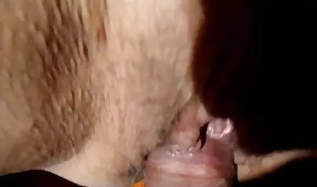 Kucing di pantat dan selesai dengan dada kecil. gudang lucah